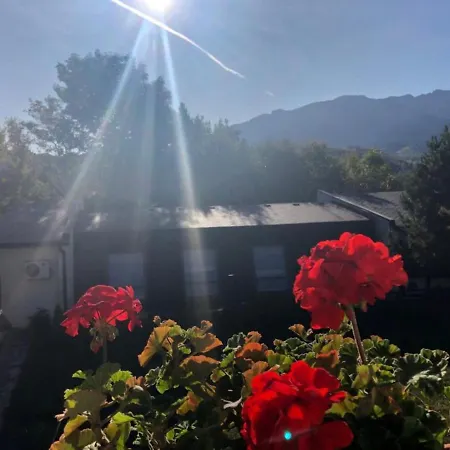 Pensiunea Muntele Rece Gasthof Bran (Brasov)