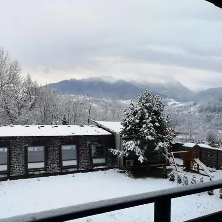Pensiunea Muntele Rece Gasthof 3*