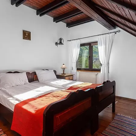 Gasthof Pensiunea Muntele Rece