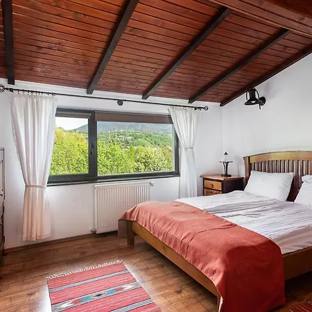 Gasthof Pensiunea Muntele Rece 3*
